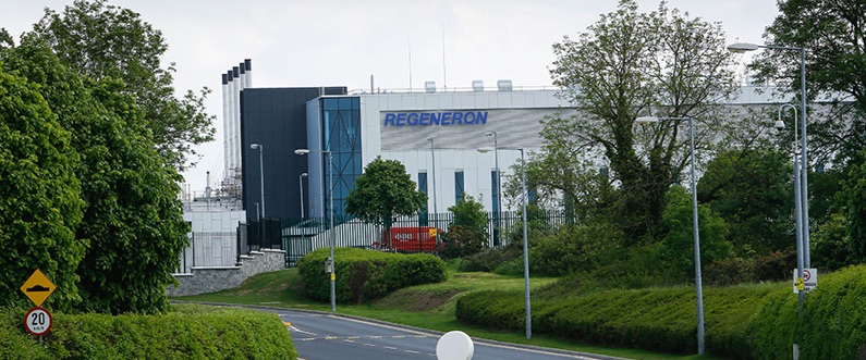 Regeneron